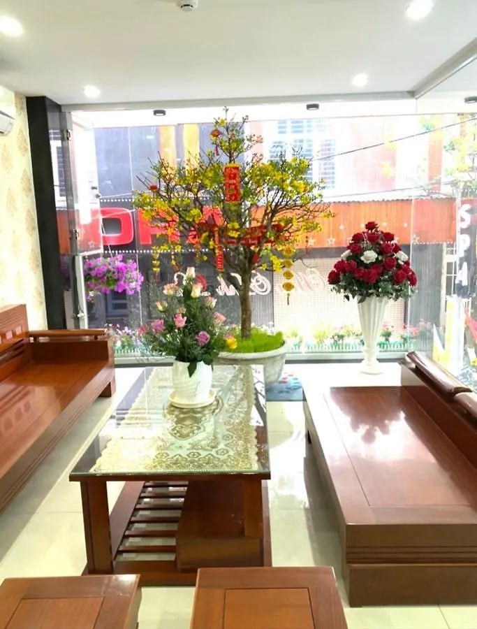 Hoa Anh Dao Hotel Da Nang 0*,