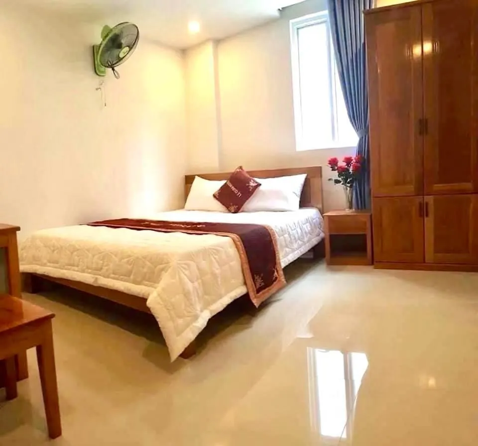 Hoa Anh Dao Hotel Da Nang 0*,  Vietnam